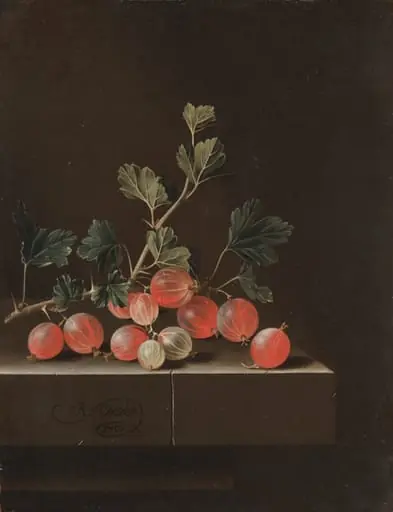 Gooseberries on a Table, by Adriaen Coorte