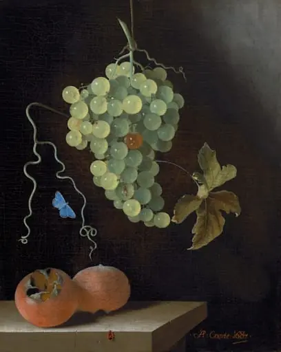 Still Life with a Hanging Bunch of Grapes, Two Medlars, and a Butterfly, by Adriaen Coorte