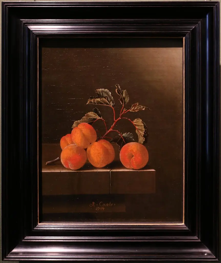 Still Life with Five Apricots, by Adriaen Coorte
