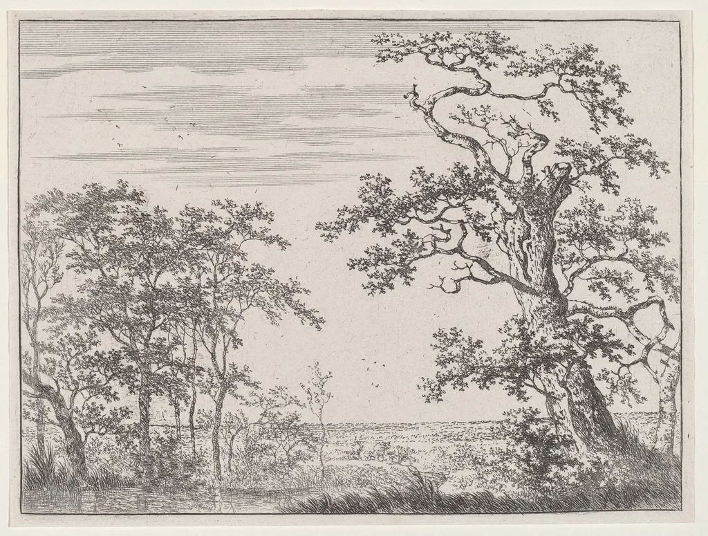 Landscape with a Stream and an Ancient Tree, by Adriaen Hendricks Verboom, ink, 1664