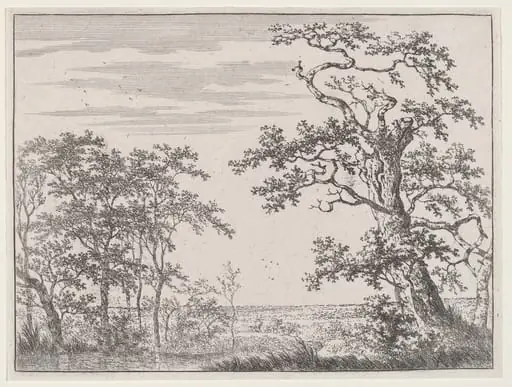Landscape with a Stream and an Ancient Tree, by Adriaen Hendricks Verboom