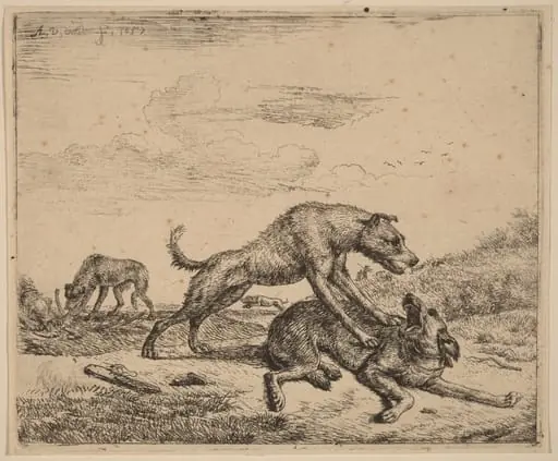 Fighting Dogs, by Adriaen van de Velde