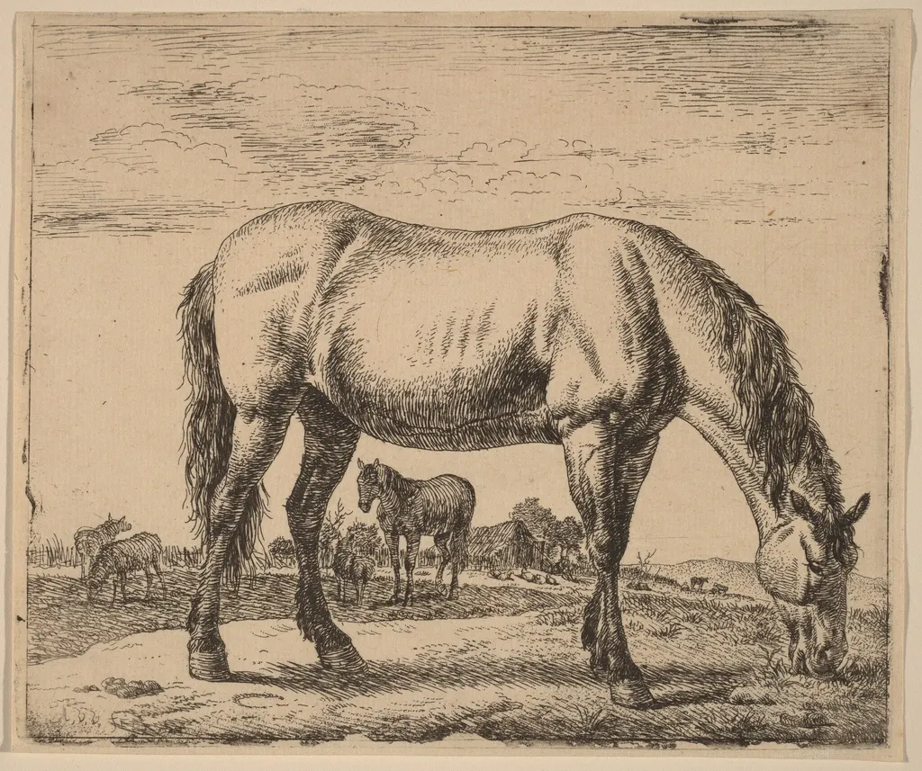 Grazing Horse, by Adriaen van de Velde, ink, 1658