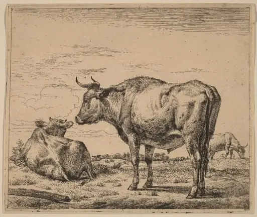 Standing Bull, by Adriaen van de Velde