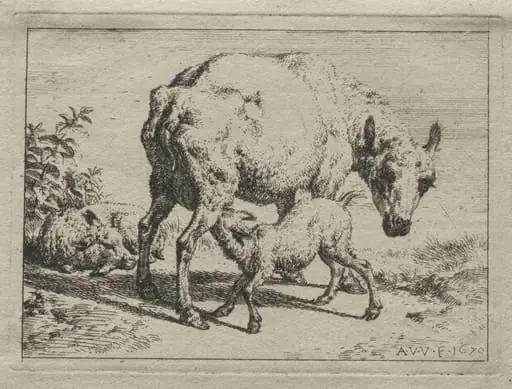 The Ewe and Two Lambs, by Adriaen van de Velde