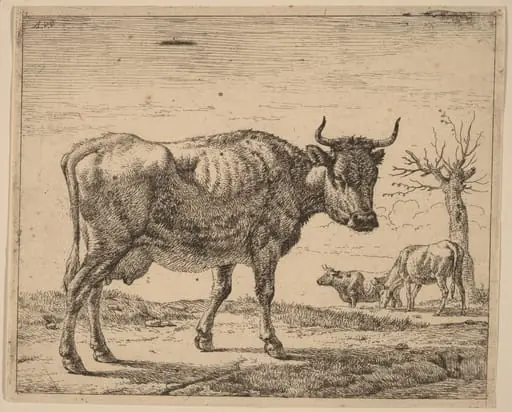 Three Cows, by Adriaen van de Velde