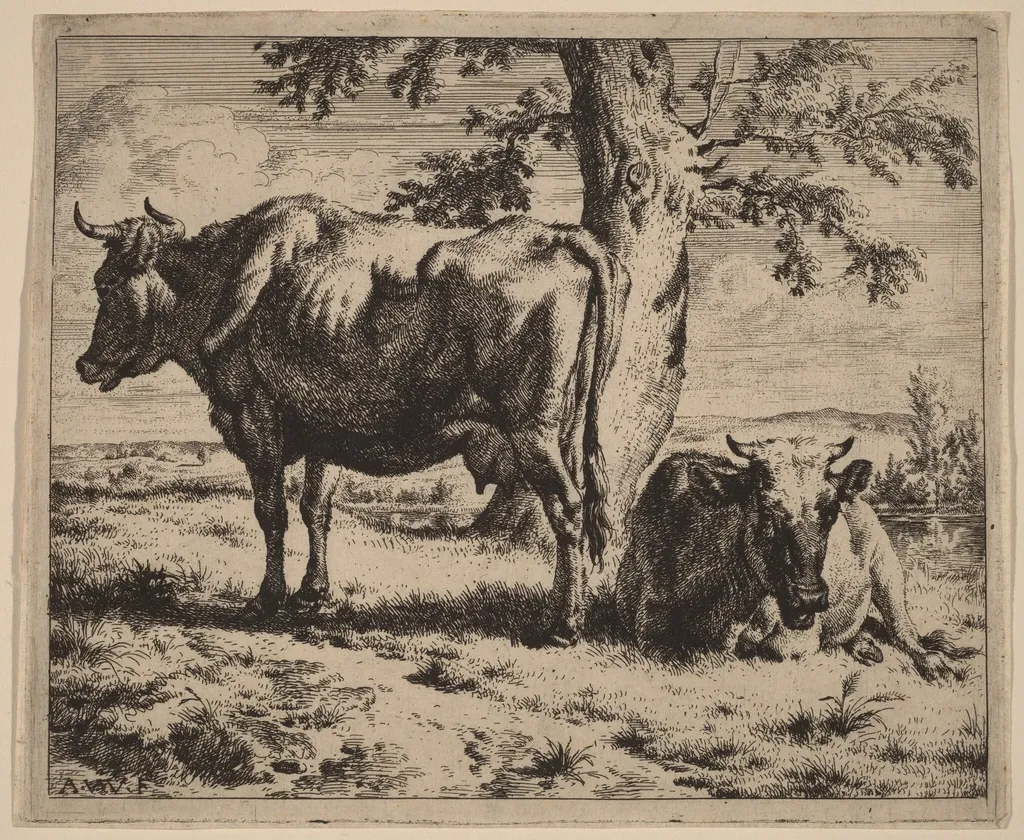 Two Cows under a Tree, by Adriaen van de Velde, ink, 1670