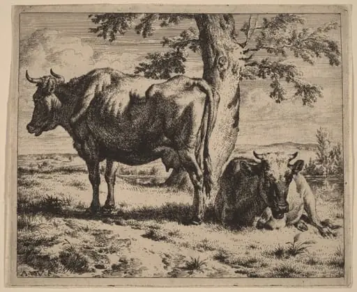 Two Cows under a Tree, by Adriaen van de Velde