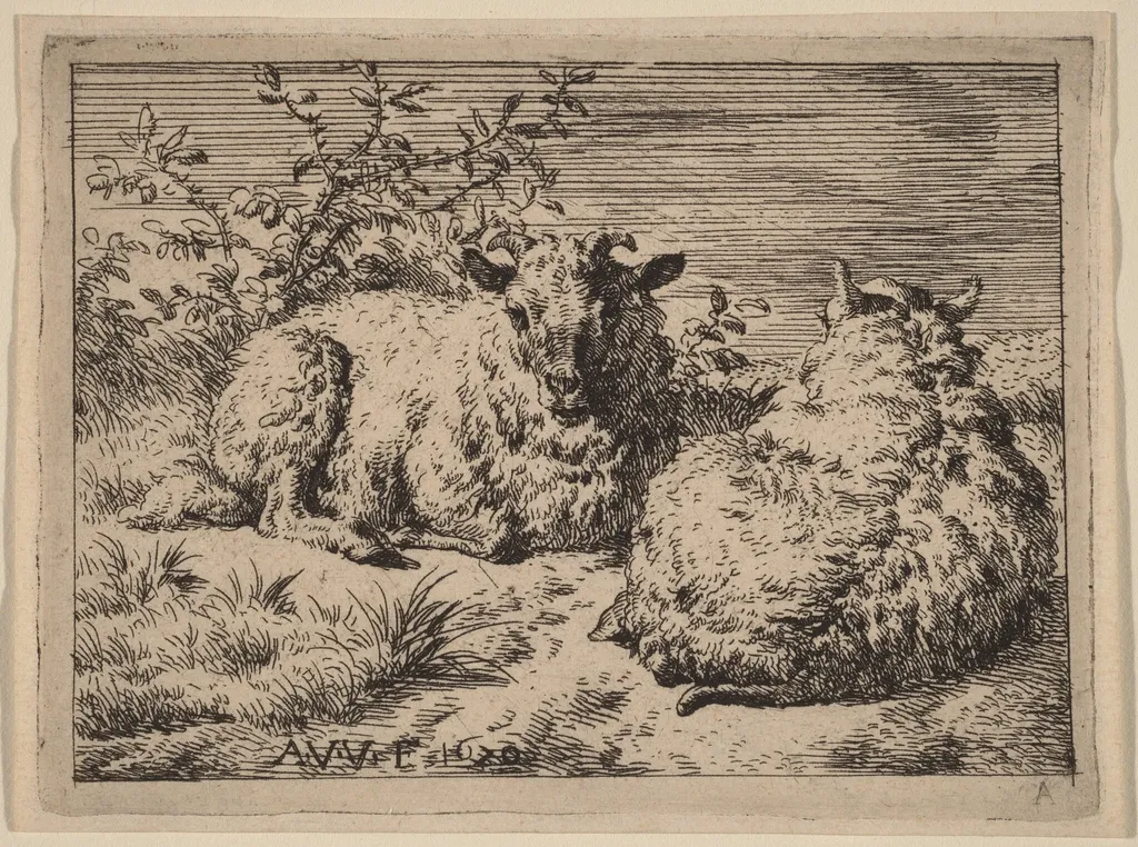 Two Recumbent Sheep, by Adriaen van de Velde, ink, 1670