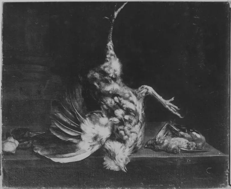Adrianus van Ysselsteyn