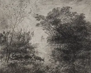 Stags, by Charles François Daubigny, 1862