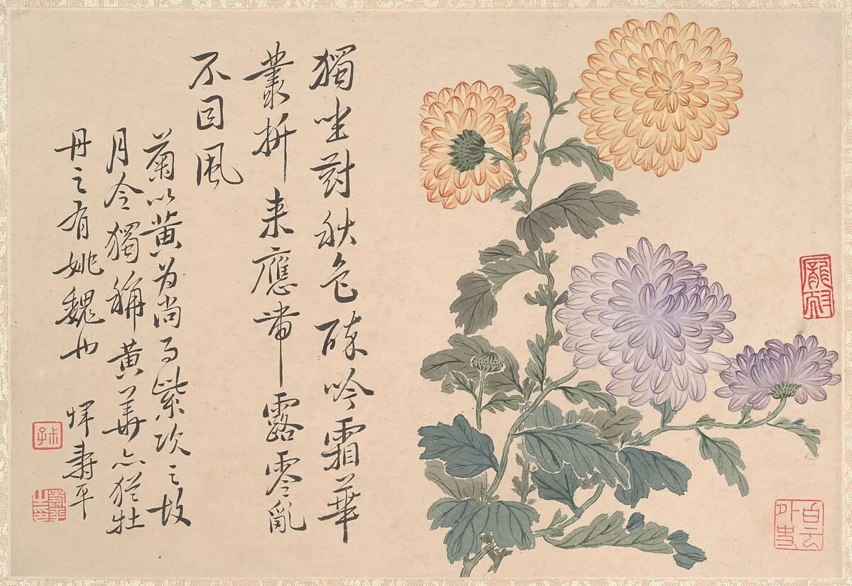 清 惲壽平 菊花圖 冊頁|Chrysanthemums, detail