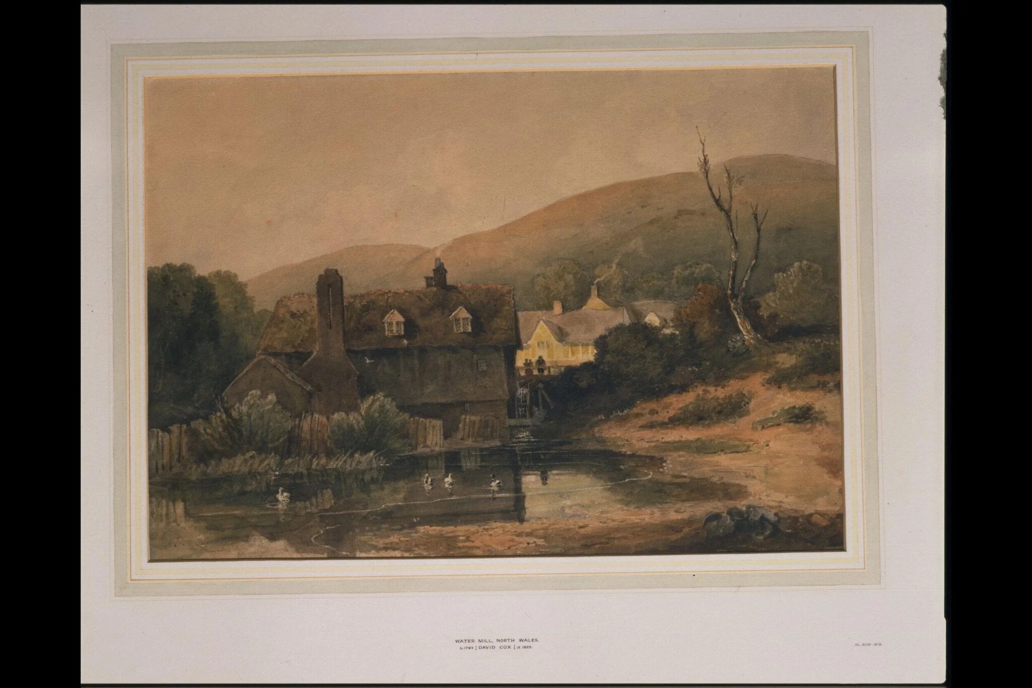 Water Mill, North Wales, detail