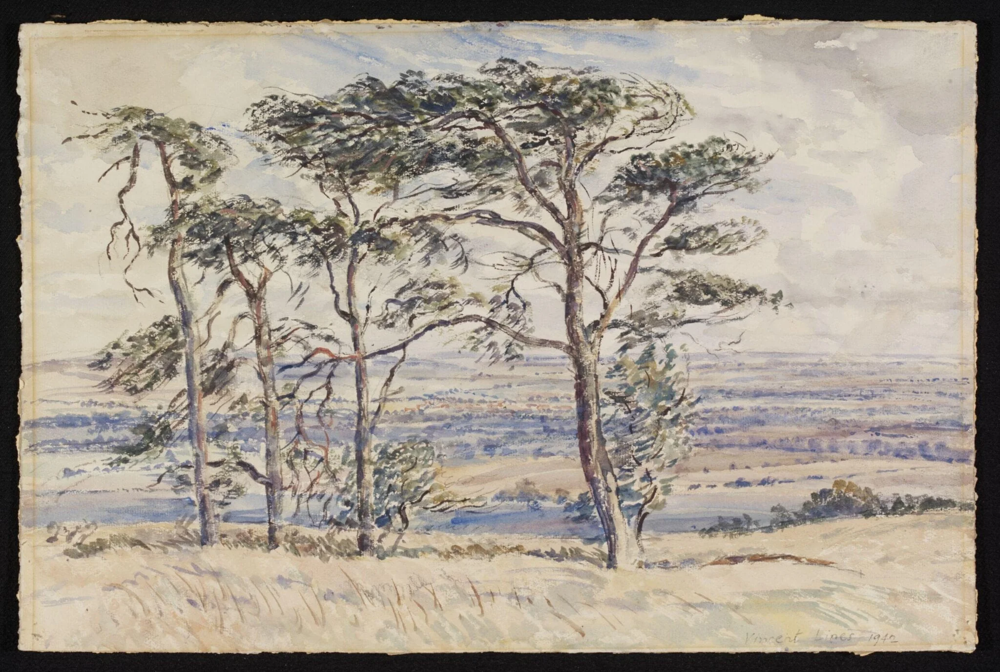 Pewsey Vale and Fir Trees from Martinsell, detail