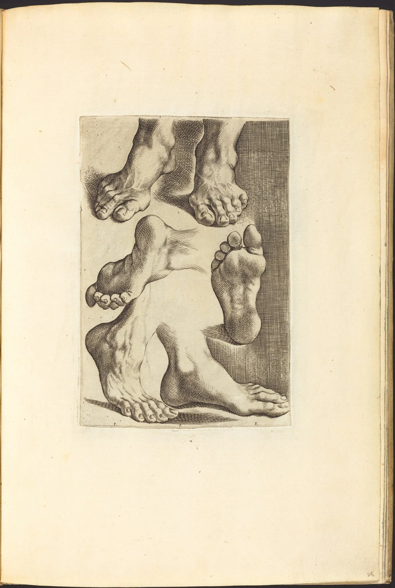 Print from Drawing Book, detail