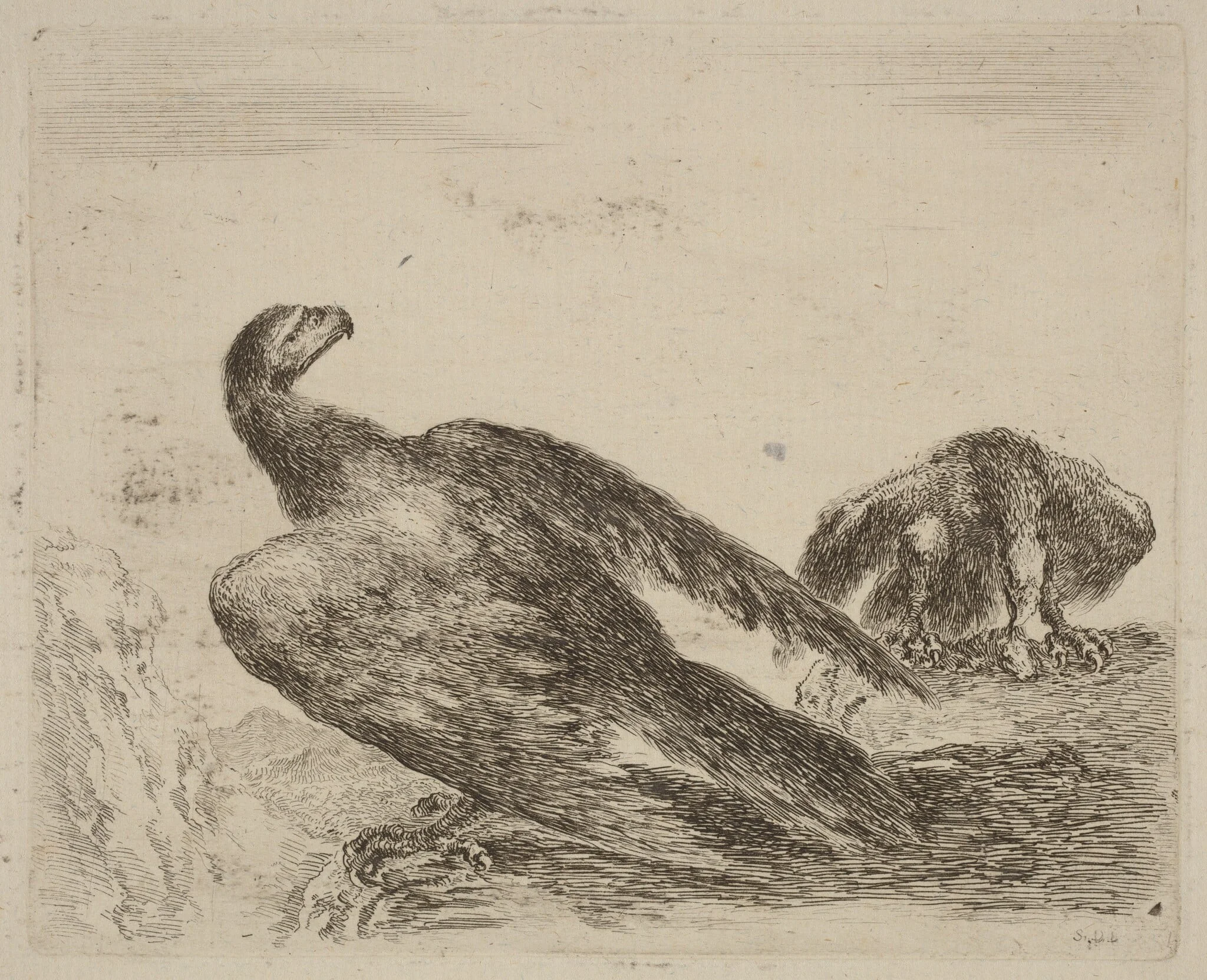 Two Eagles on a Promitory, detail