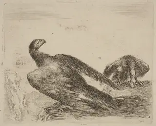 Two Eagles on a Promitory, by Stefano Della Bella, ink, 1637