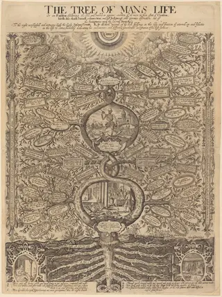 The Tree of Man's Life, by John Goddard, ink, 1637