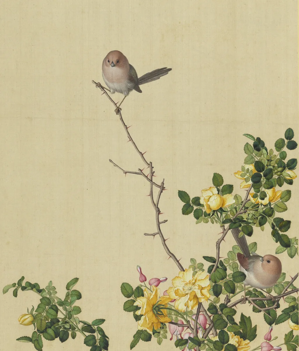 Rose and Peony, by Giuseppe Castiglione, unspecified, 1728
