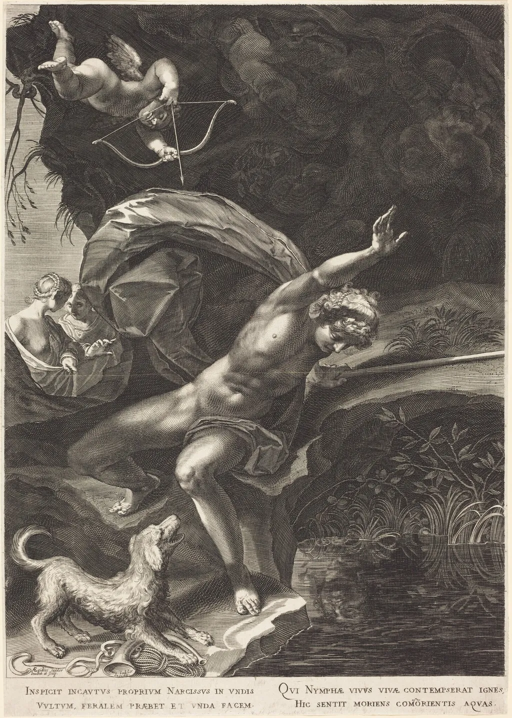 Narcissus, by Aegidius Sadeler II, ink
