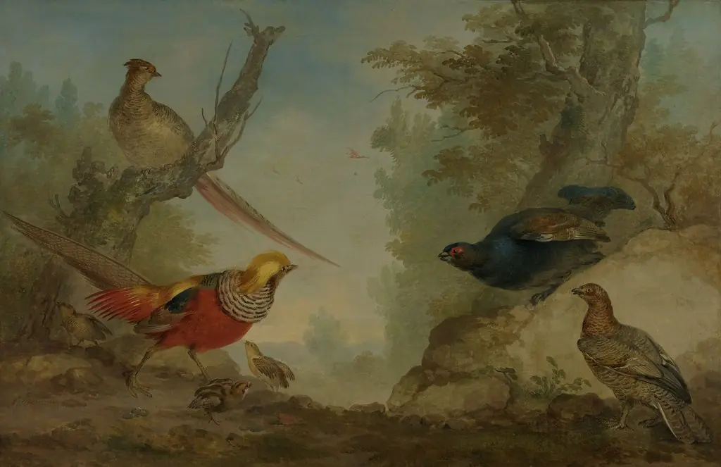 Pheasants, by Aert Schouman