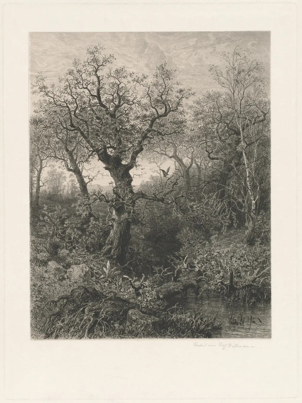 Autumn, by Eduard Willmann, ink, 1871