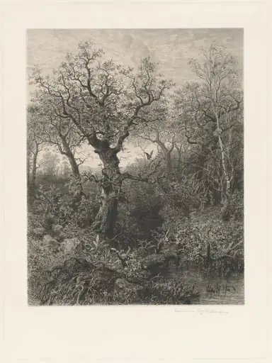 Autumn, by Eduard Willmann, ink, 1871