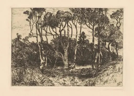 Solitude, by Mary Nimmo Moran, ink, 1880