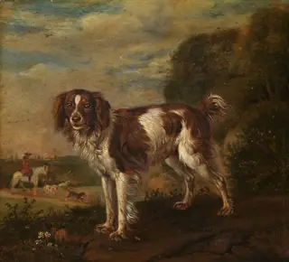 A spaniel, by Paulus Potter, oil, 1653