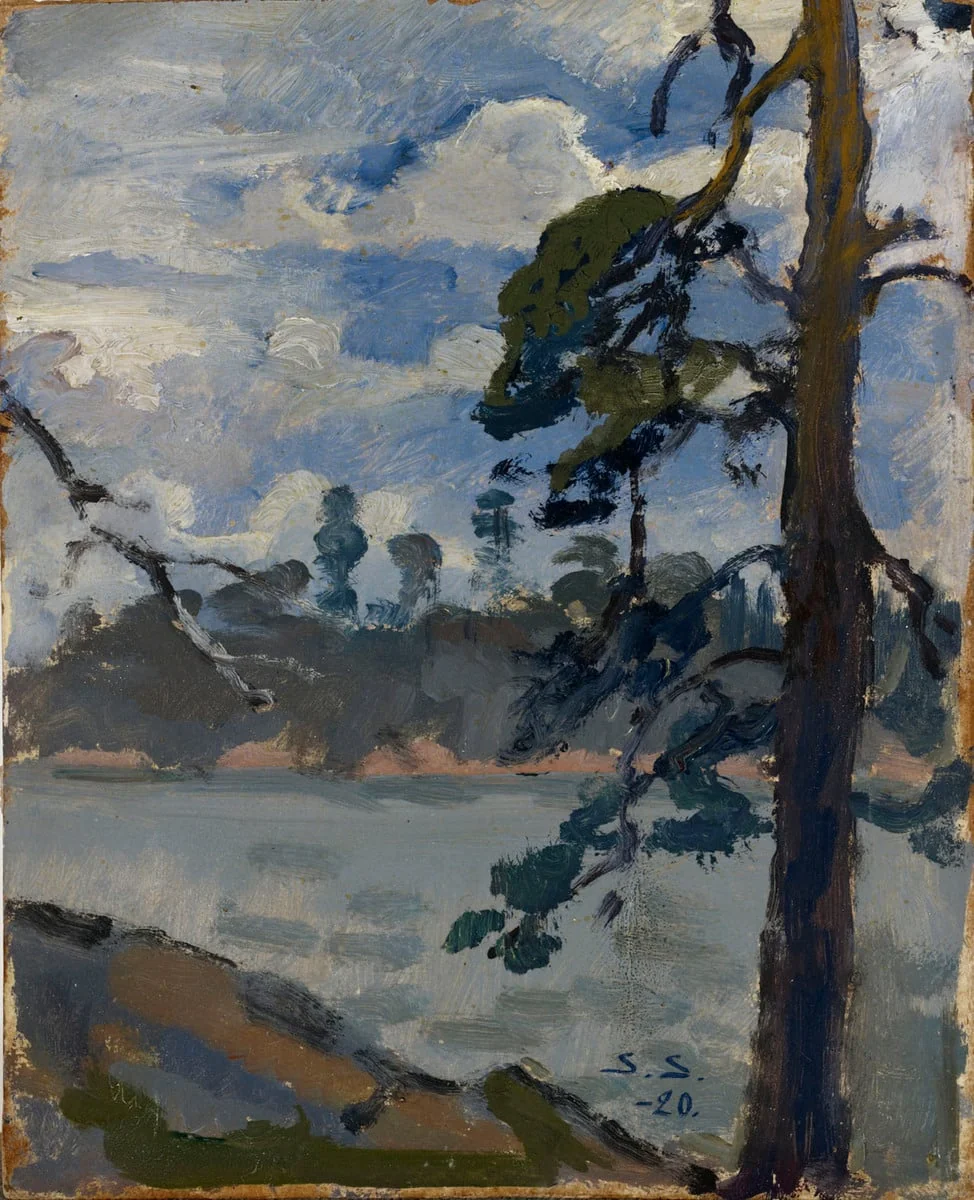 Järvimaisema, detail