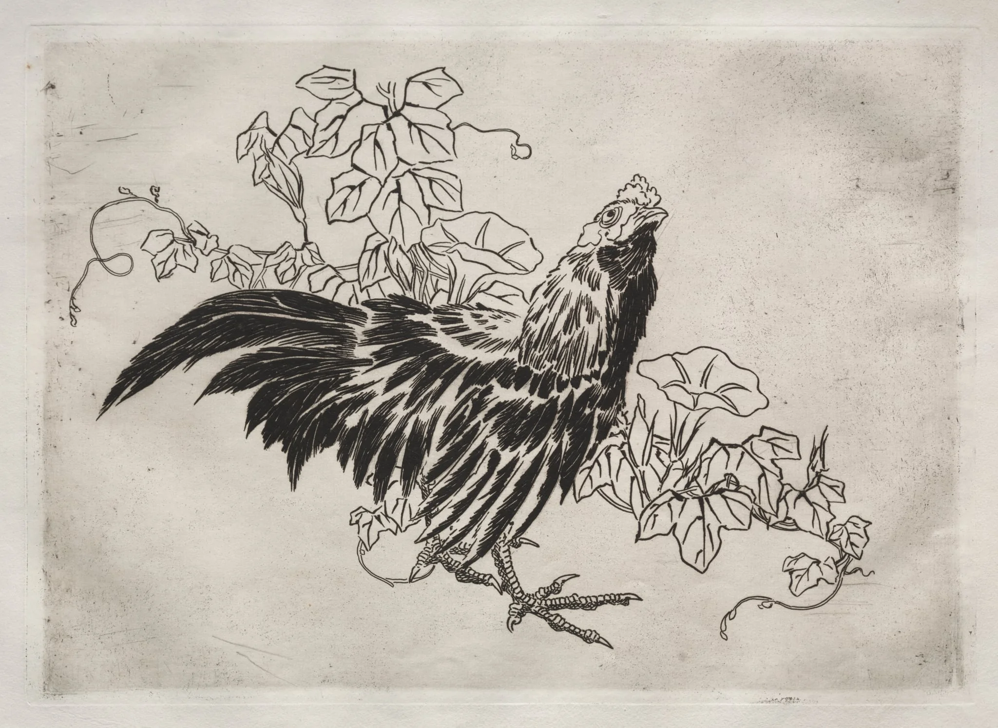 Dinner Service (Rousseau service): Rooster and morning glories (no. 25), detail