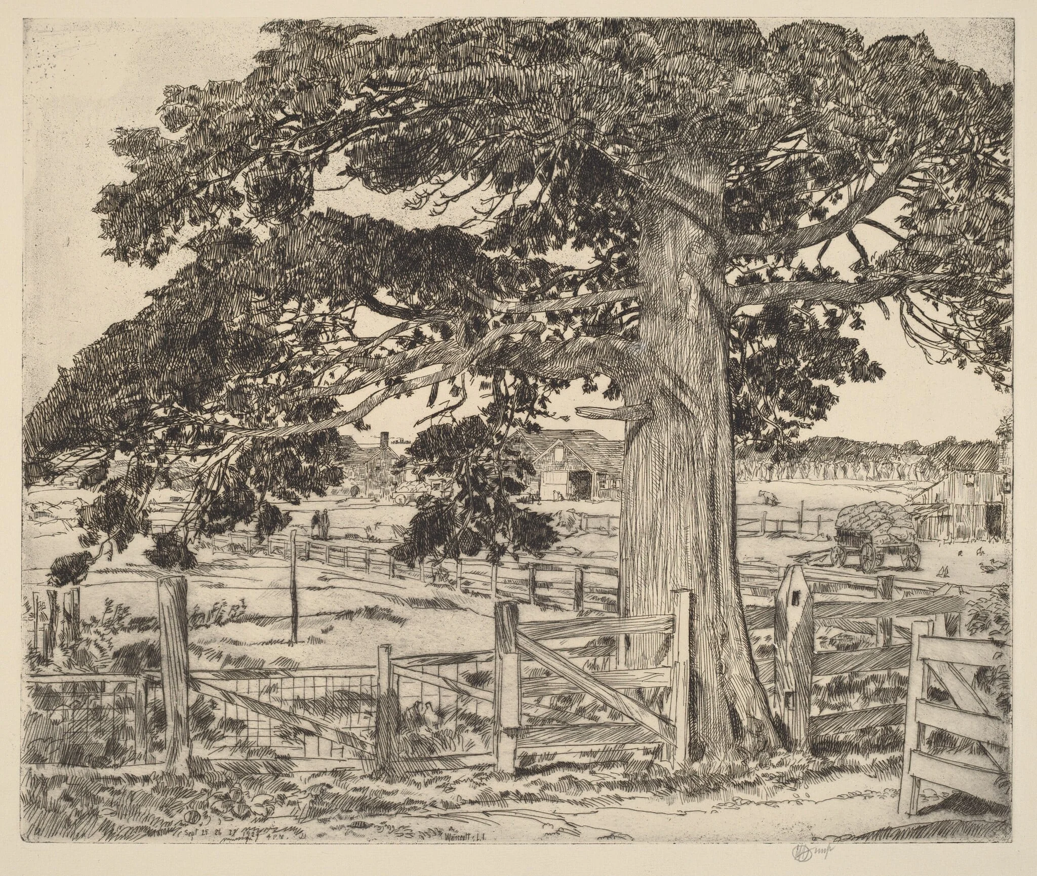 The Big Cedar, detail