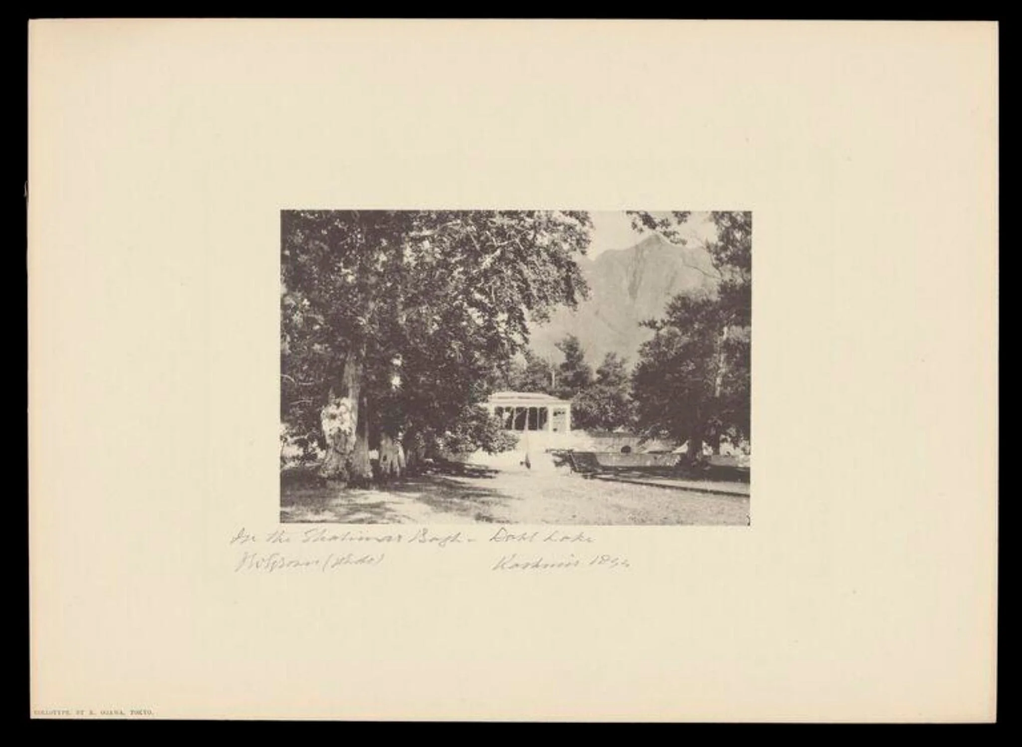 In the Shalimar Bagh, Dahl Lake, Kashmir, detail