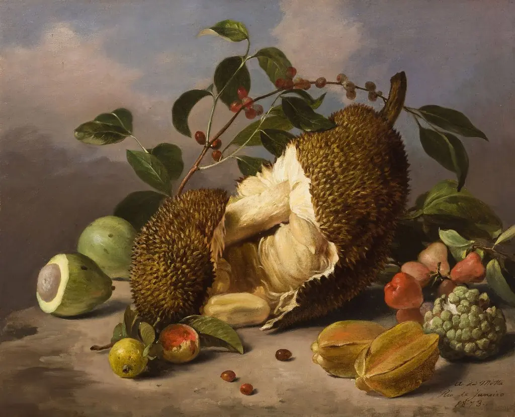 Natureza-morta com frutas (atribuído), by Agostinho José da Mota