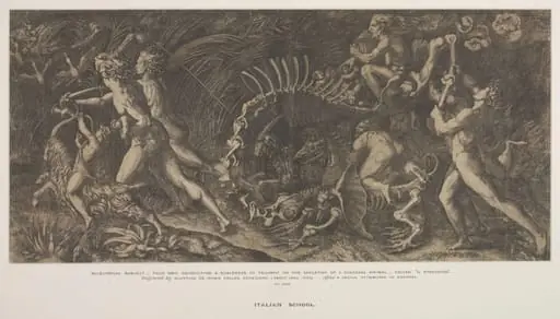 Il Stregozzo, by Agostino dei Musi