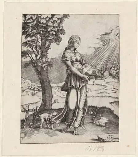 The Cumaen Sibyl, by Agostino dei Musi