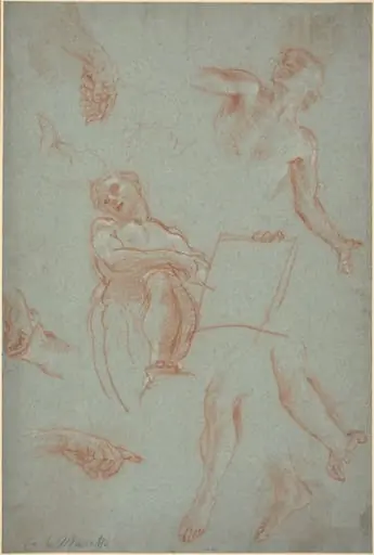 Sheet of Studies with Figures, Hands, and Feet, by Agostino Masucci