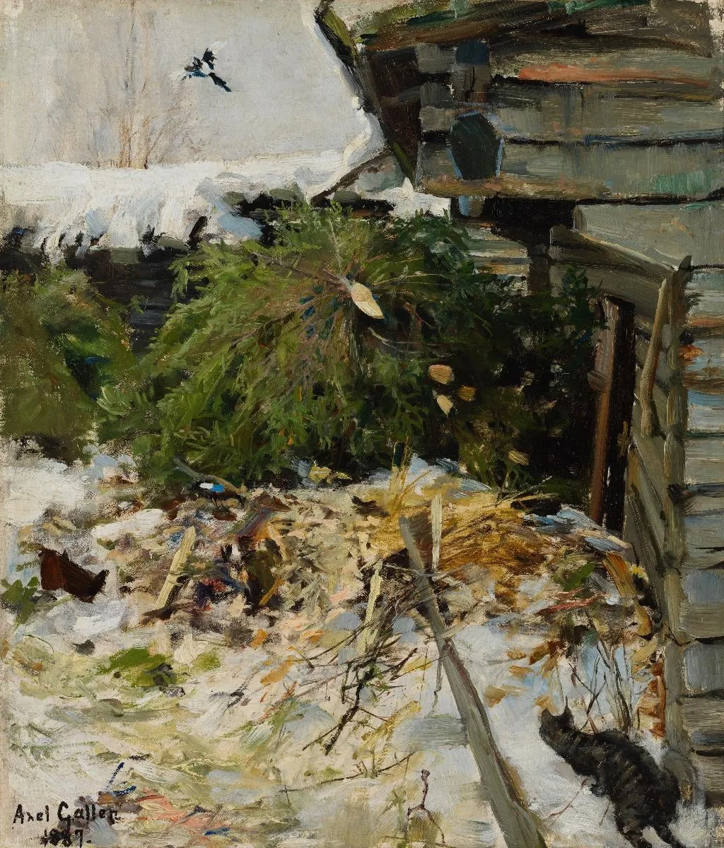 Kuusia karjapihassa, by Akseli Gallen-Kallela, unspecified