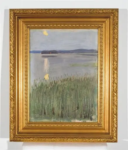 Lintulan ranta Keiteleellä