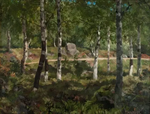 Metsää Tyrväällä