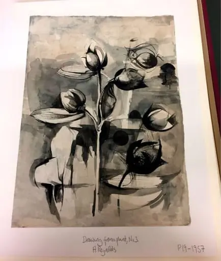 Drawing from a plant, No.3