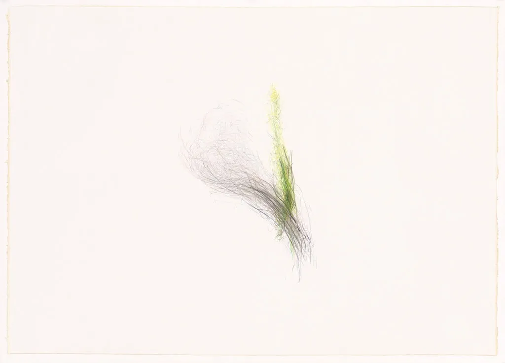 Untitled, by Alan Saret, graphite, 1983