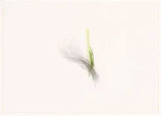 Untitled, by Alan Saret