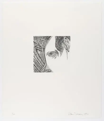 Untitled, by Alan Turner