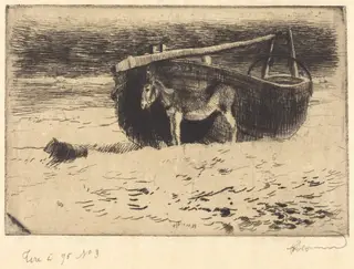 Small Donkey at Berck (Un petit ane à Berck)