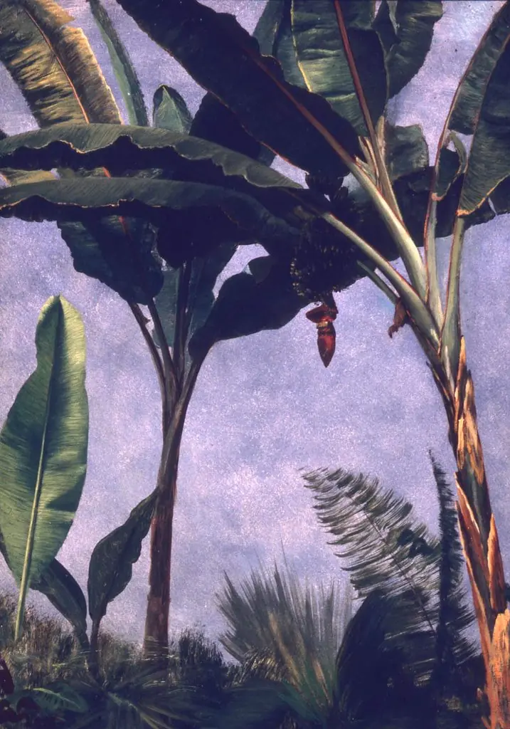 Banana Trees, by Albert Bierstadt