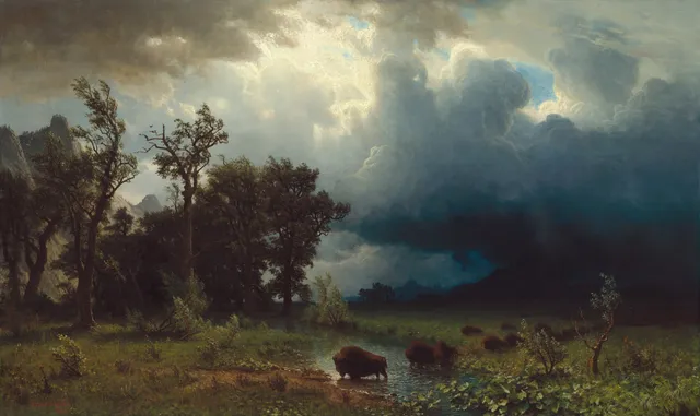Buffalo Trail: The Impending Storm