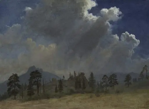 Fir Trees and Storm Clouds, by Albert Bierstadt