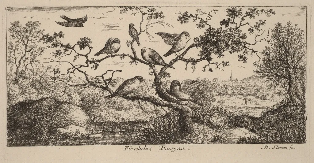 Ficedula, The Bullfinch, by Albert Flamen, ink, 1644