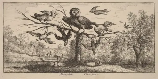 Monedula, The Owl, by Albert Flamen